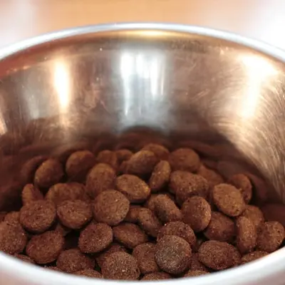 Freeze-Dried Chicken Breast
